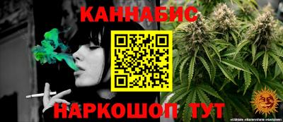 дмт Моздок